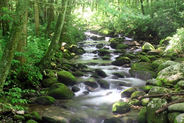 tennessee, stream, brook, water, nature, landscape, smoky, mountains, scenic, babbling, green mountain, tennessee, tennessee, tennessee, tennessee, tennessee
